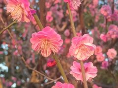 -大宁灵石公园西门票处