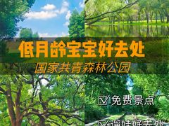 -上海共青森林公园