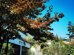 -江宁织造博物馆