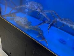 -快乐海鲜城(虎泉街店)