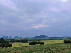 -光明小镇欢乐田园