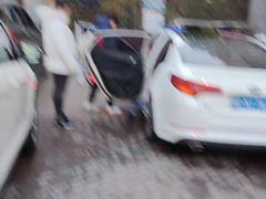 -利美特•威固V-KOOL双膜(杨浦授权店)