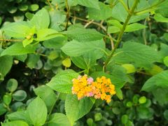 -白沙门生态公园