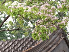 -颐和园