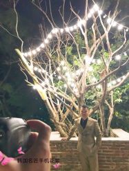 -你好晴天·目的地婚礼