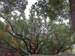 -宁波市保国寺古建筑博物馆