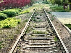 -永定河休闲森林公园