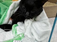 -美联众合动物医院·24h京西诊疗中心