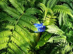 -国家植物园南园