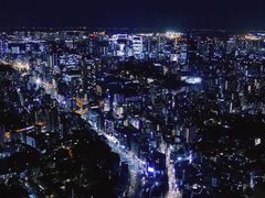 -六本木新城展望台(东京城市景观)
