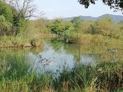 -天禄堂西溪庄园