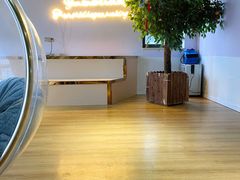 -Husky Go! 哈士奇体验馆·宠物咖啡厅狗咖