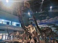 -自贡恐龙博物馆