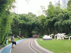 -苏州河梦清园环保主题公园