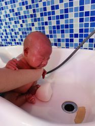 -喜月来月子会所