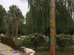 -武清南湖绿博园