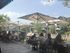 -弗兰克牛排西餐厅 Galla R By Ribone(上海首店)