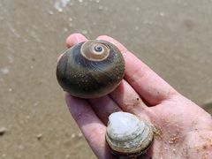 -大沙湾