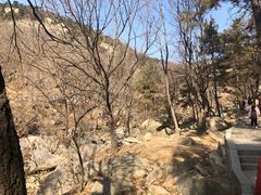 -沂蒙山旅游区龟蒙景区