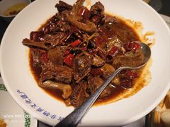 -三强鸽子(中原路店)