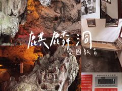 -黔灵山公园