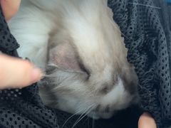 -佳雯宠物医院·皮肤科·内外科(春晓路分院)