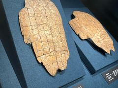 -盘龙城国家考古遗址公园