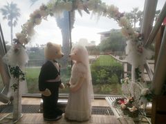 -济州岛泰迪熊博物馆