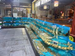 -晓伟海鲜家常菜