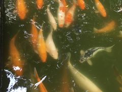 -珠海圆明新园