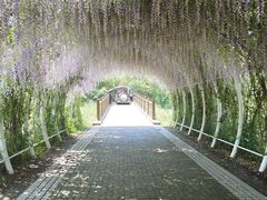 -同里国家湿地公园