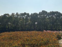 -华东政法大学(松江校区)