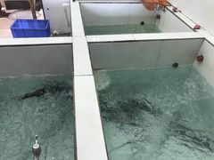 -贡椒鱼老店·雅安十大名店