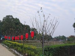 -洪湖家庭农场·团建·露营·会议