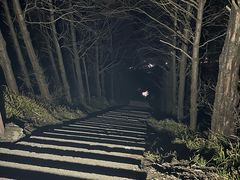 -东白山
