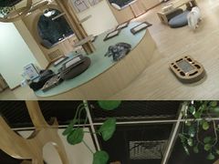 -猫和宫(六道口店)