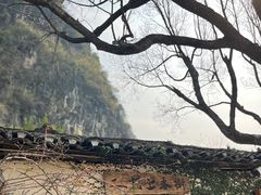 -村上春树