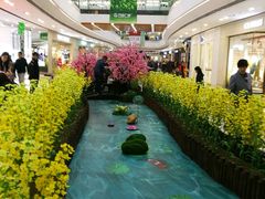 -万达广场(泰安泰山店)