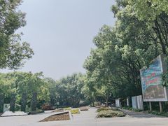 -红梅公园