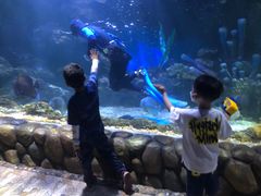 -华夏文旅海洋公园