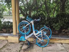 -运河游船(武林门码头)