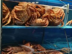 -蟹田居·活蟹料理(东城店)