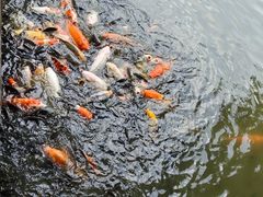 -珠海圆明新园