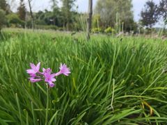 -贵阳市花溪国家城市湿地公园