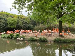 -野生动物园-停车场