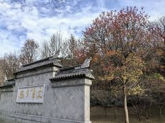 -宜兴龙背山森林公园