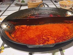 -朱光玉火锅馆(正弘城店)