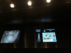 -悉尼塔旋转餐厅
