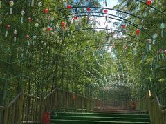 -陶祖圣境风景区