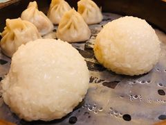 茨毛圆子-双塔老饭店